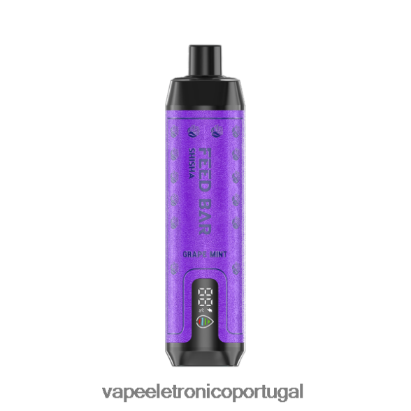 Vapsolo SHISHA vaporizador descartável hortelã de uva 46DN0X118 - Vape Recarregável